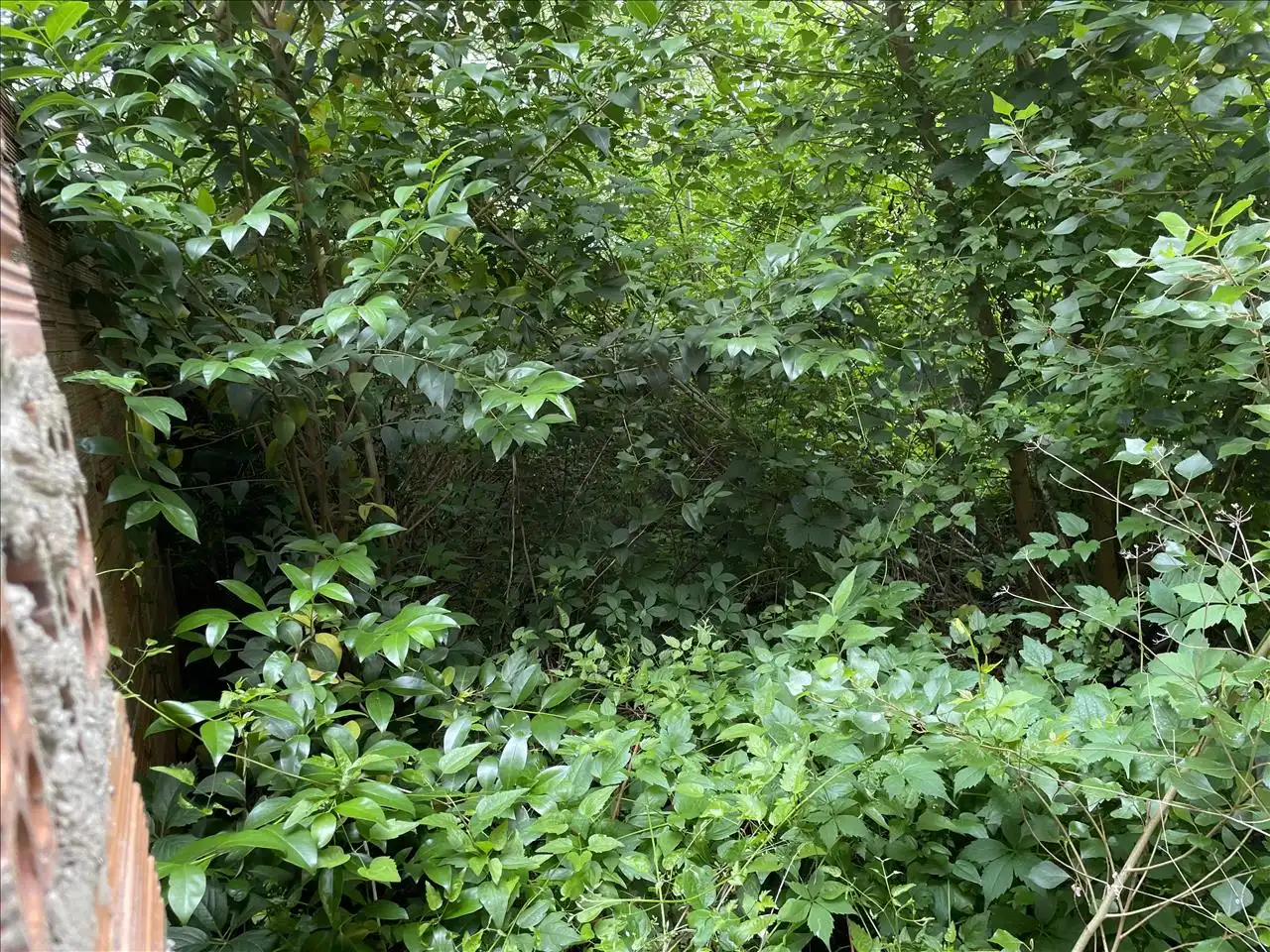 Wohnbaugrundstück zum Verkauf in Horta D'En Font, imagen 7