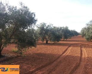 Finca rústica en venda en Valdepeñas