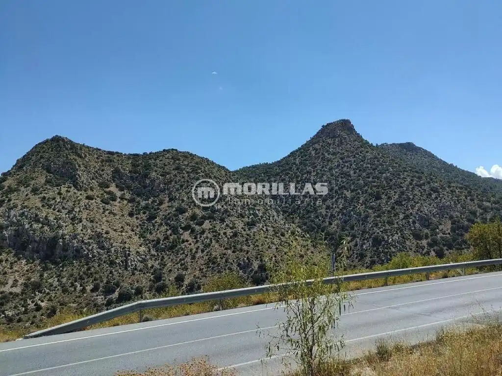 Land for sale in Puebla de Don Fadrique