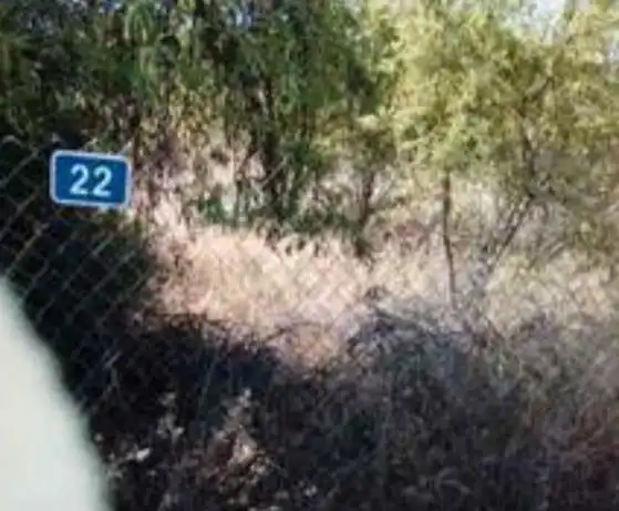 Terreny residencial en venda a Casinos