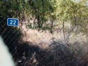 Terreny residencial en venda a Casinos