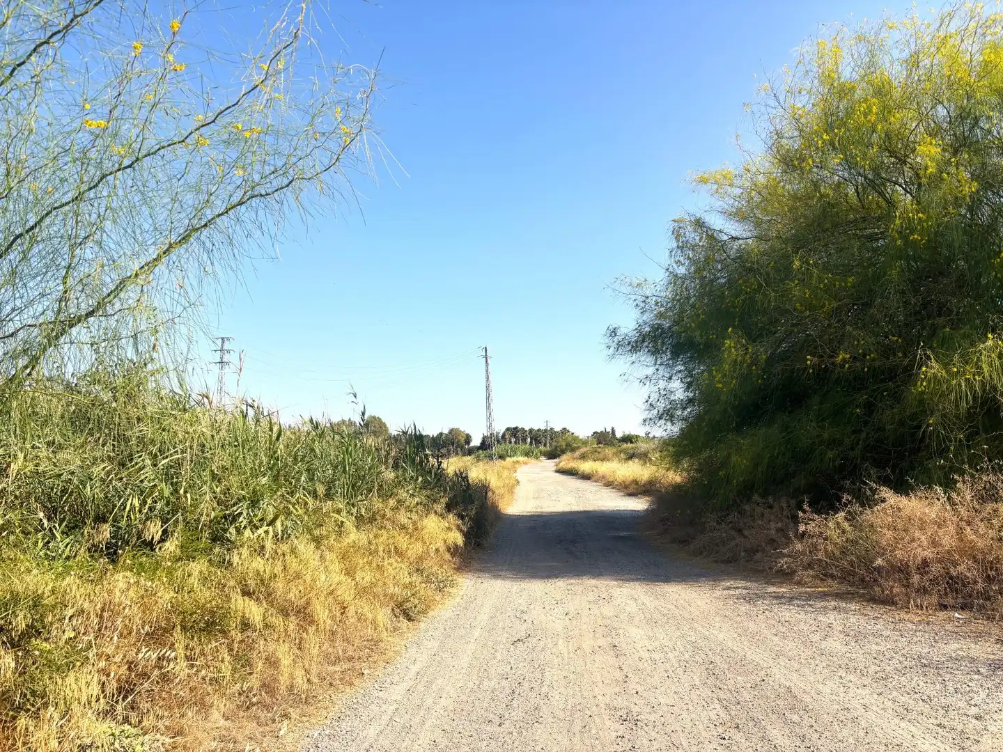 Terreno en venta en Santiponce