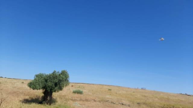 Casa-chalet en Venta en Garrovillas de Alconétar