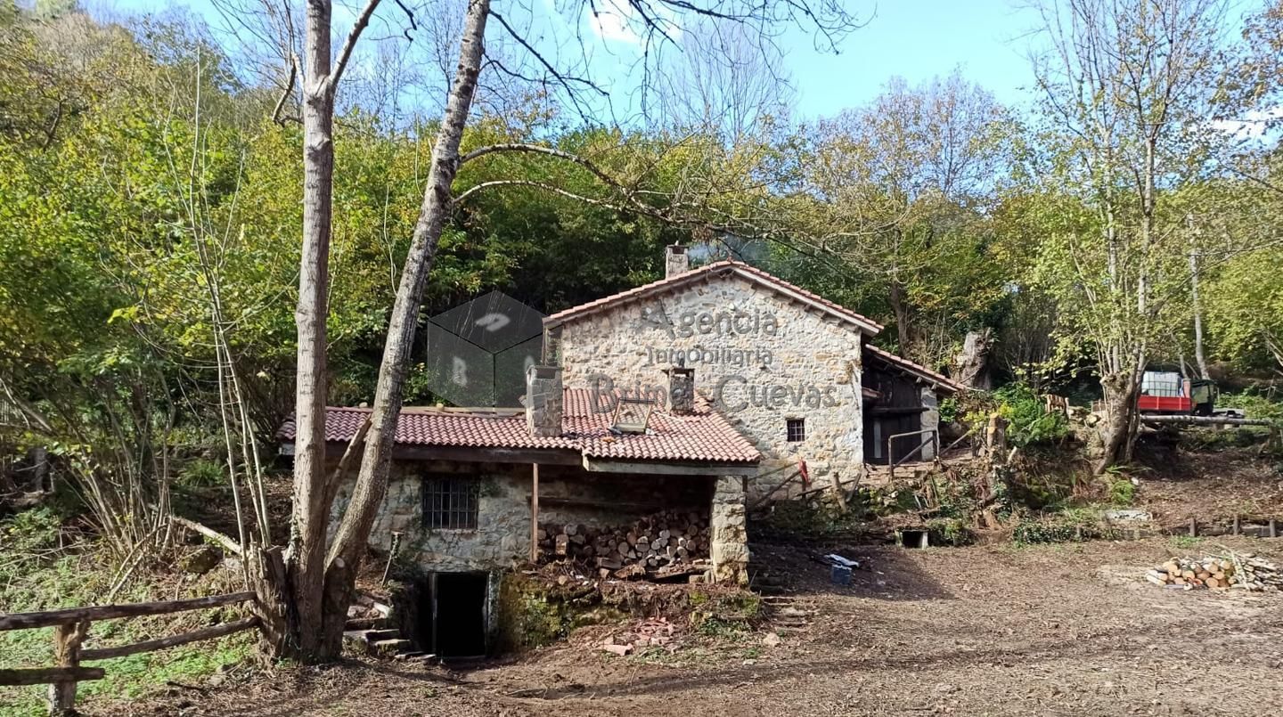 Exterior view of Country house for sale in Caso  with Heating and Private garden