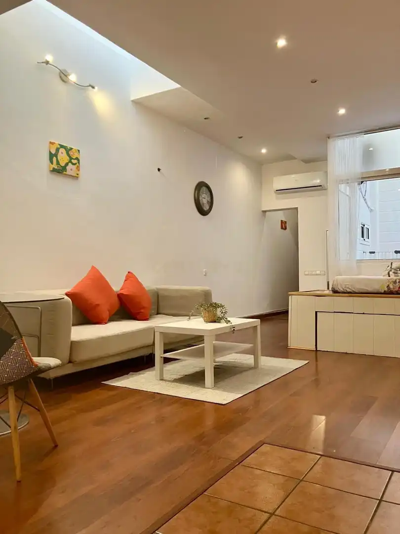 Sala d'estar de Apartament de lloguer en Barcelona amb Aire condicionat
