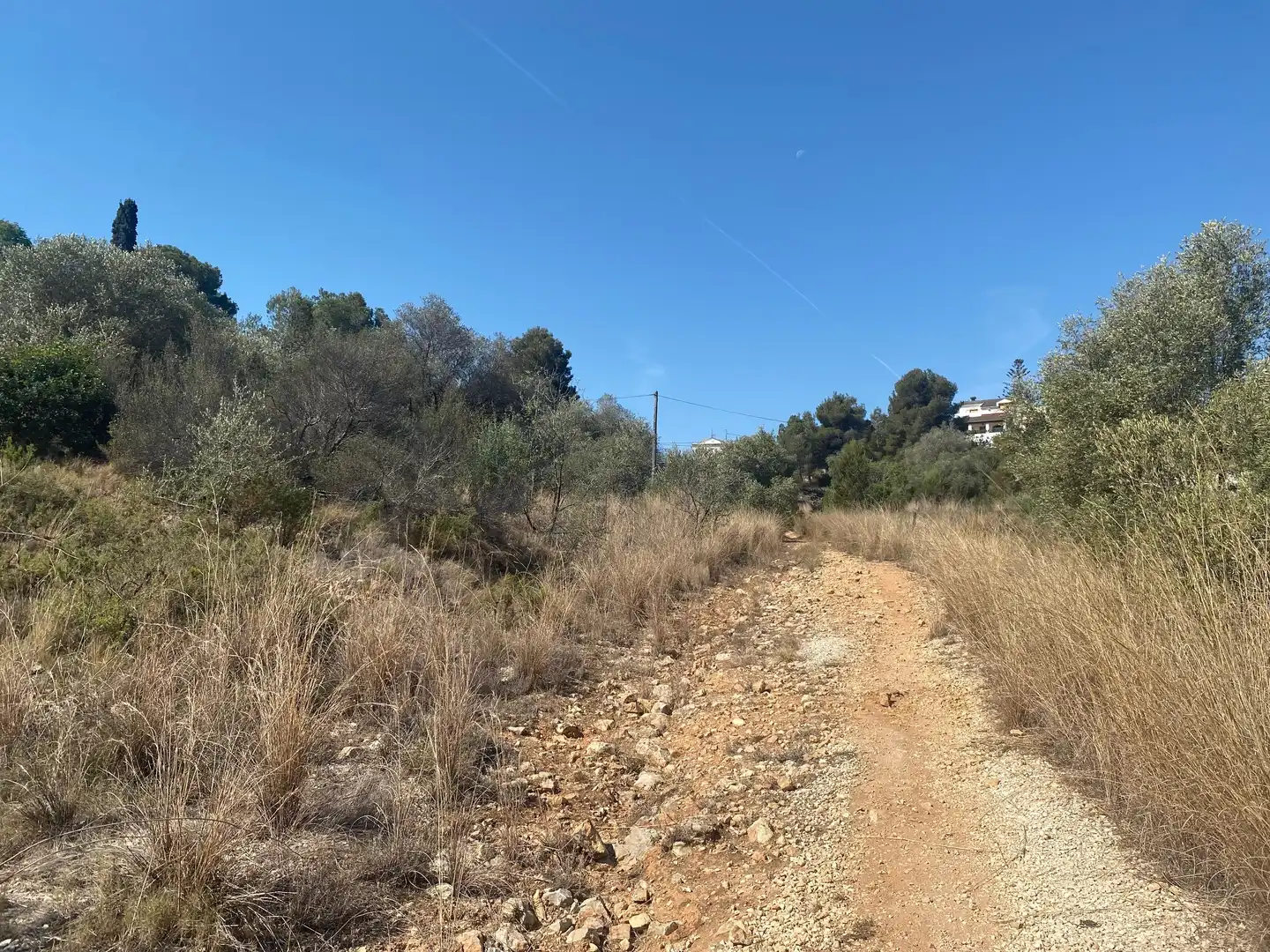 Terreno residencial en venta en Poligono 63, imagen 7