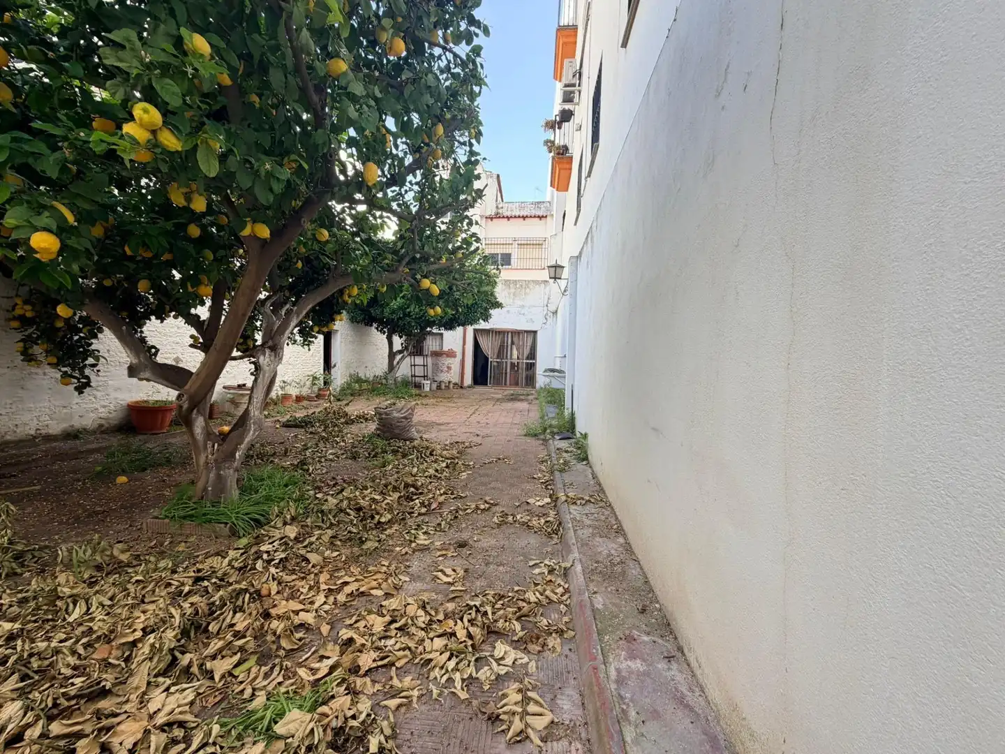 Vista exterior de Casa o xalet en venda en Huelva
