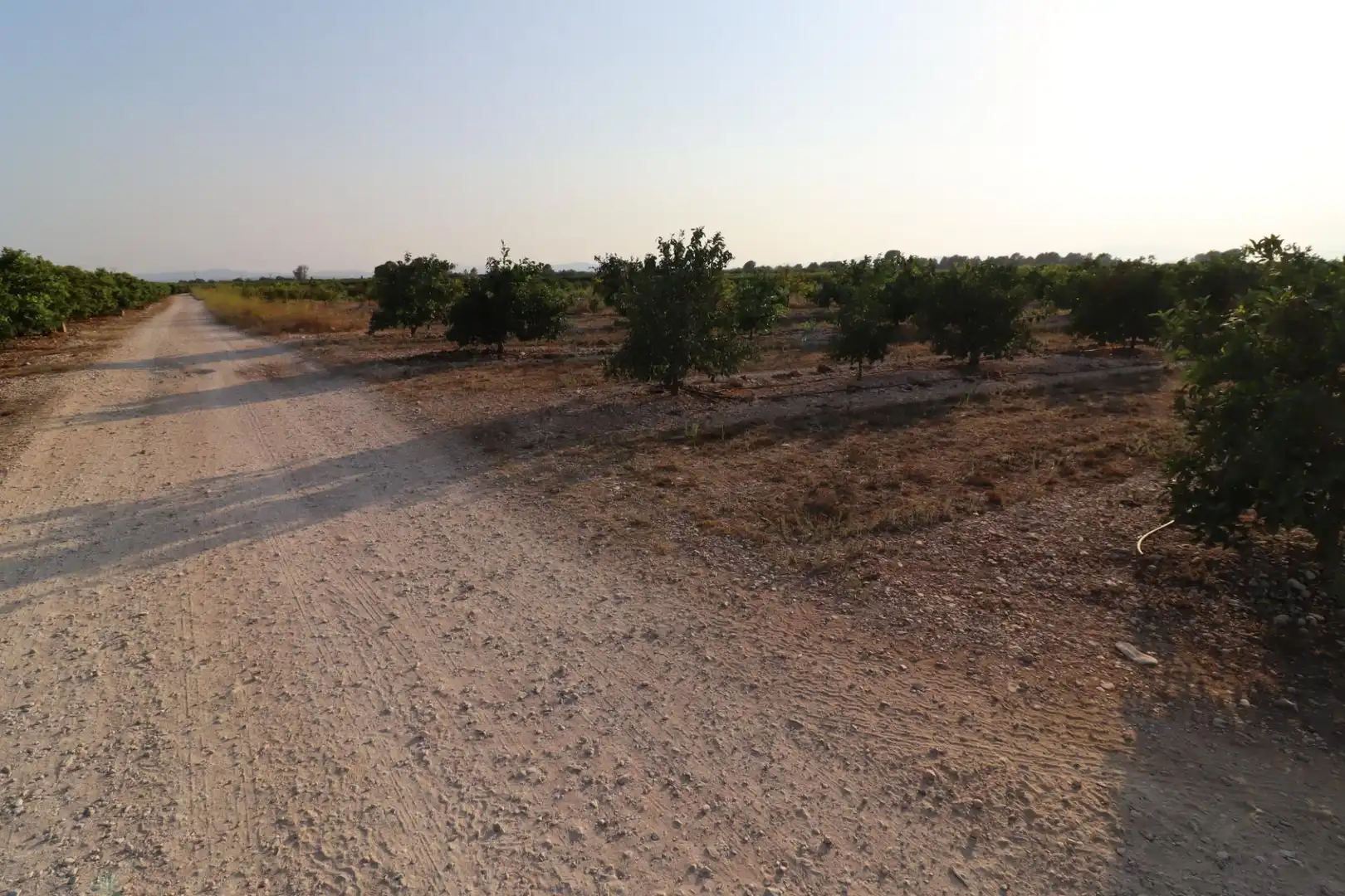 Terreny en venda en Vinaròs