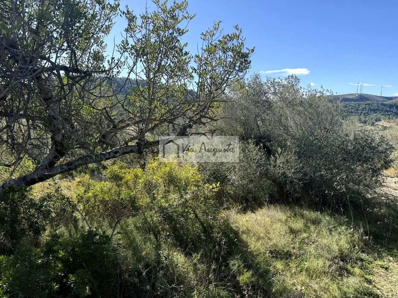 Terreno rustico in vendita a Bassa d'en Baró, imagen 13