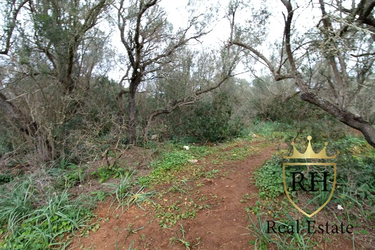 Lands and plots for sale in POLIGONO 49 PARCELA 3, imagen 16