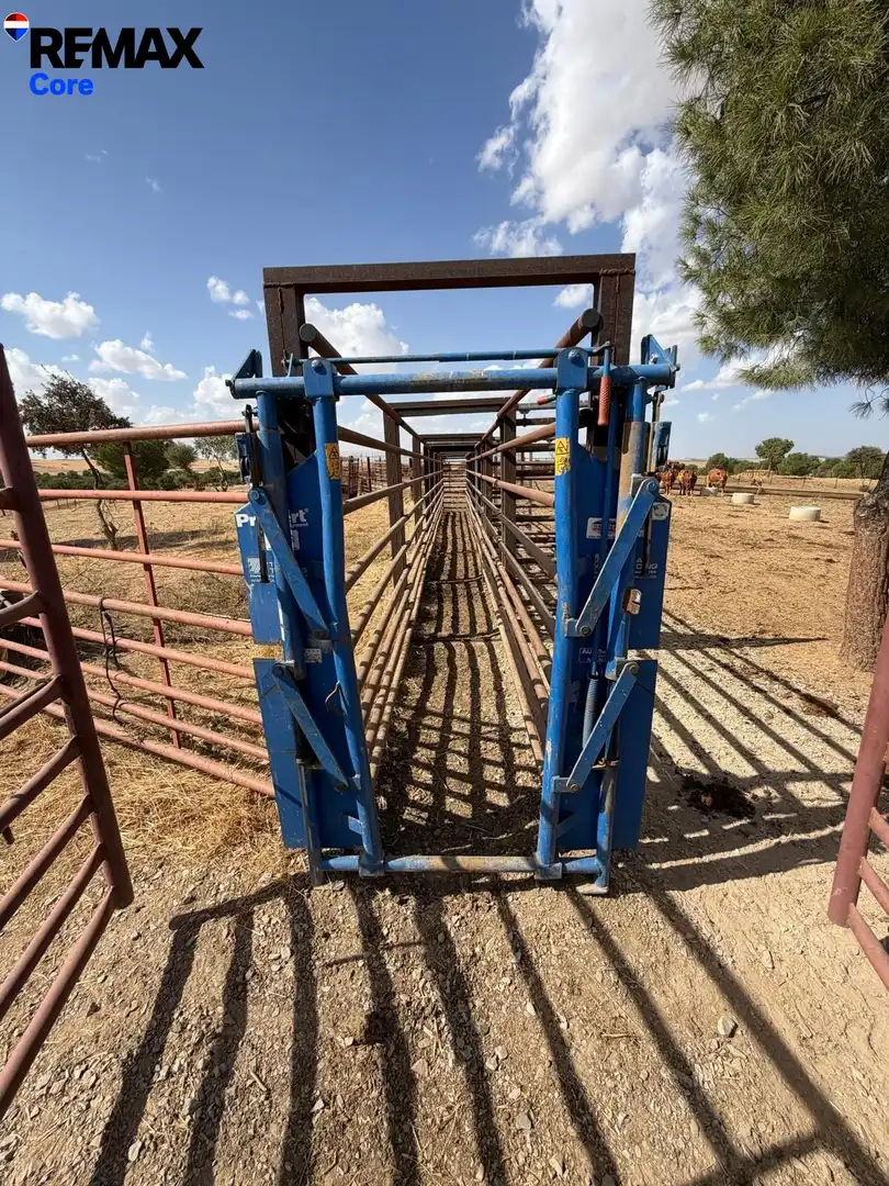 Exterior view of Land for sale in Valencia de las Torres