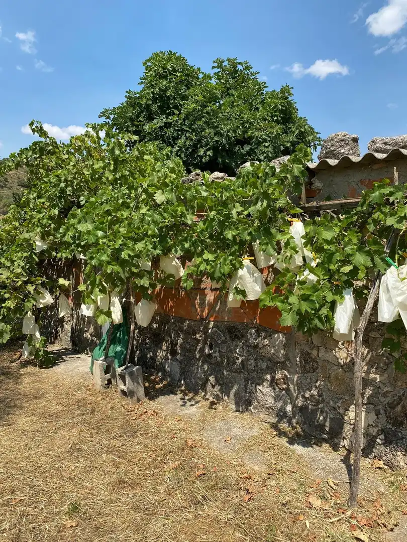 Jardín de Terreno en venta en Escopete