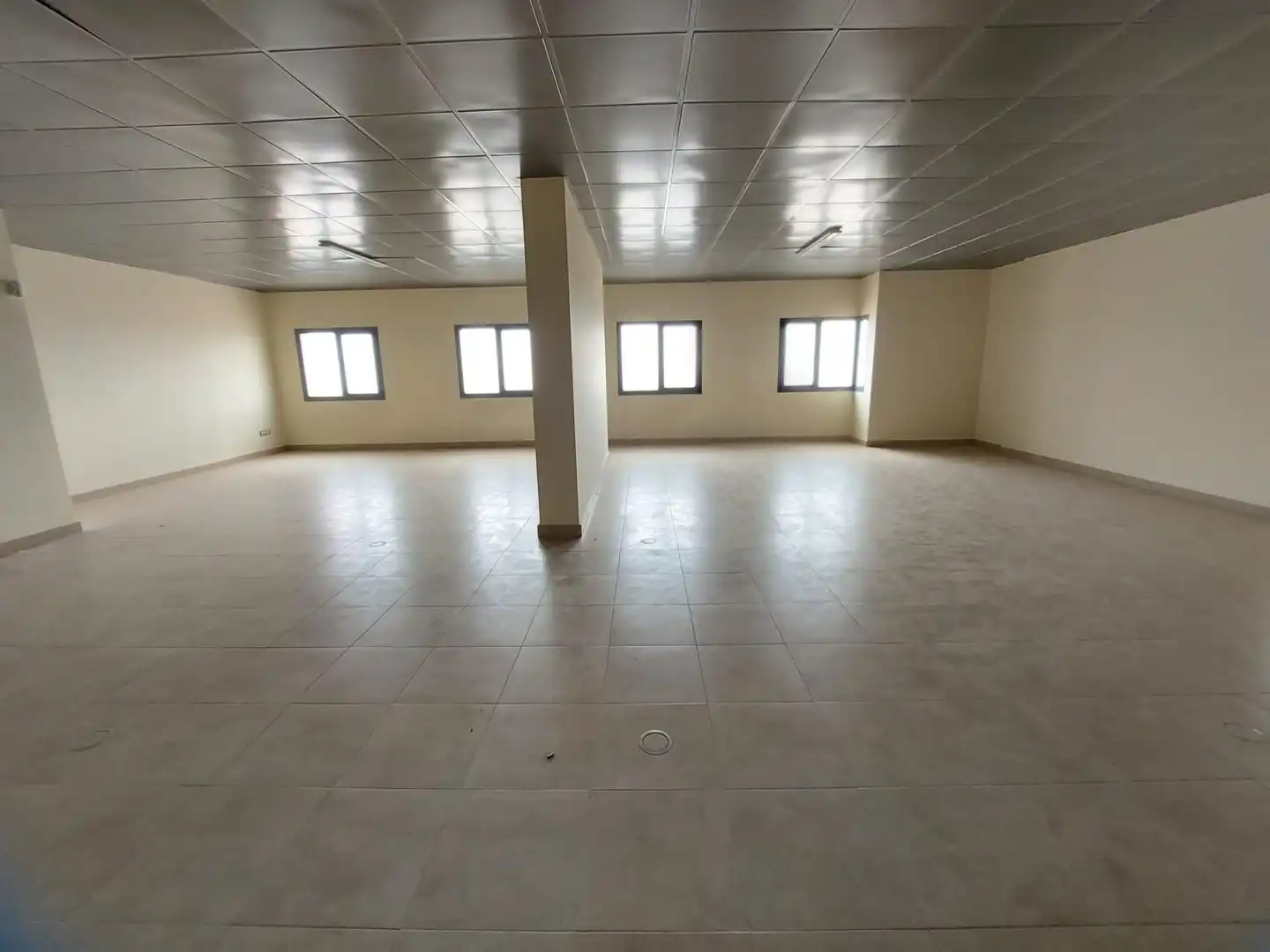 Office space with lift for sale in El Ejido Ciudad, imagen 14