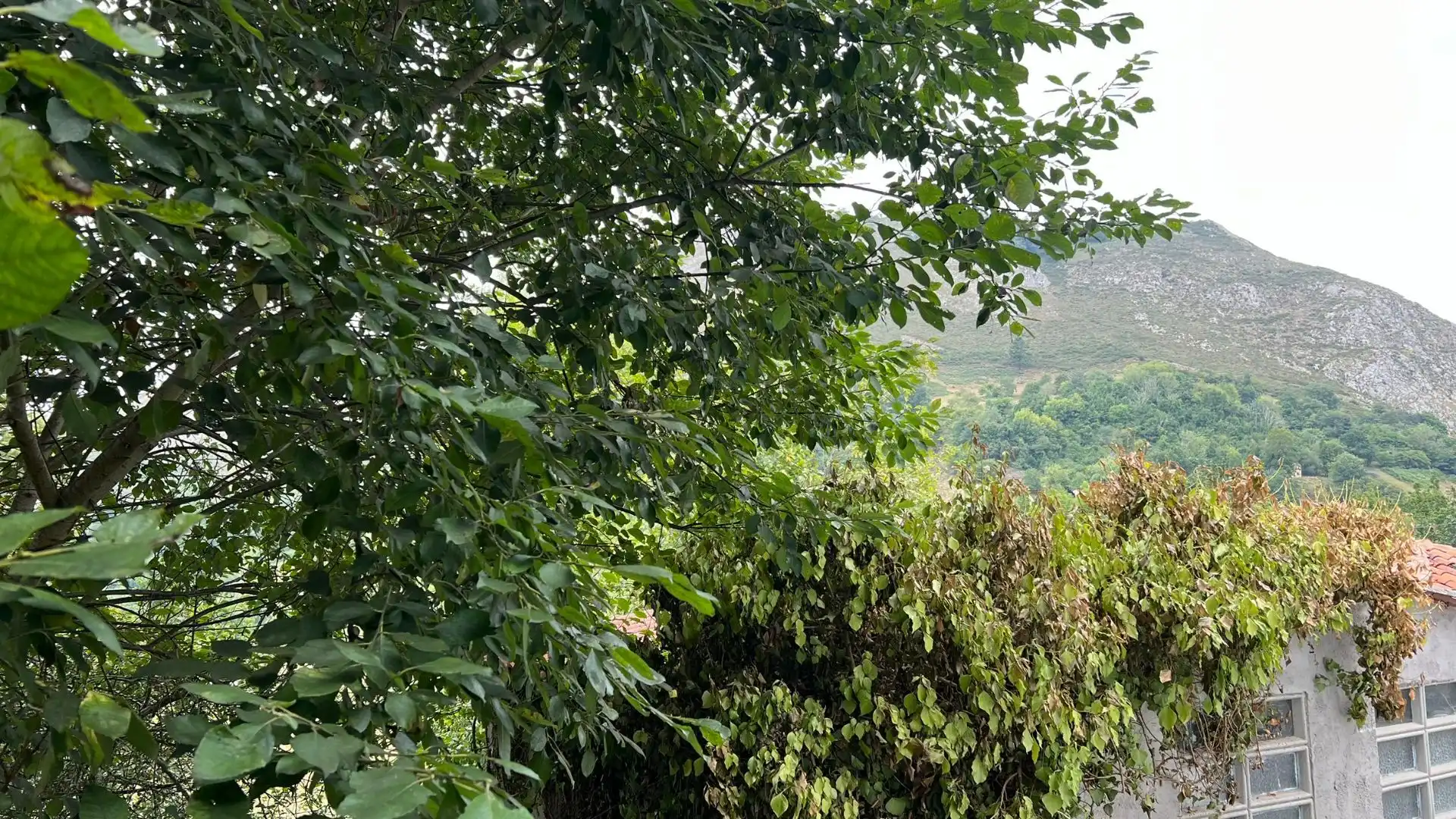 Casa o xalet en venda en Cangas de Onís amb Jardí privat i Traster