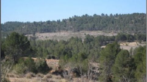 Solvia Inmobiliaria  Terreno con edificación Requena, immagine 5