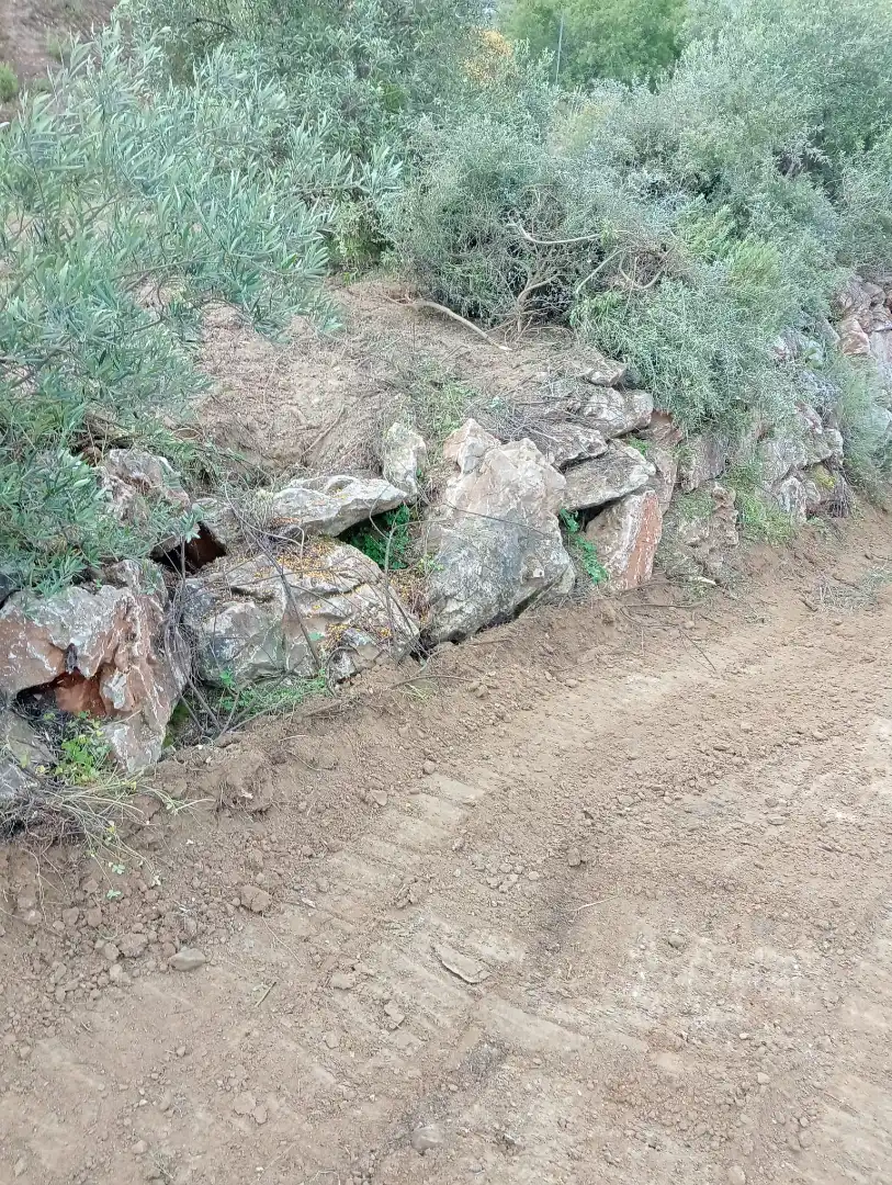 Terreno rustico in vendita a Monda, imagen 5