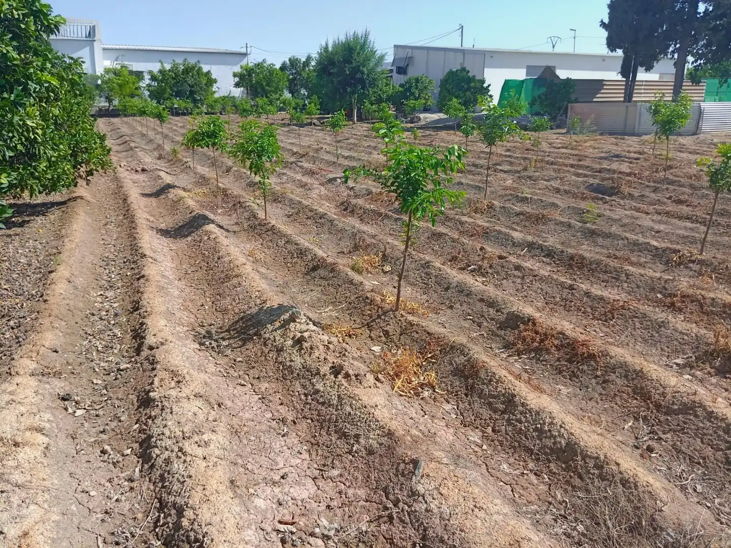 Apartments for sale in Murcia  with Private garden, Storage room and Furnished