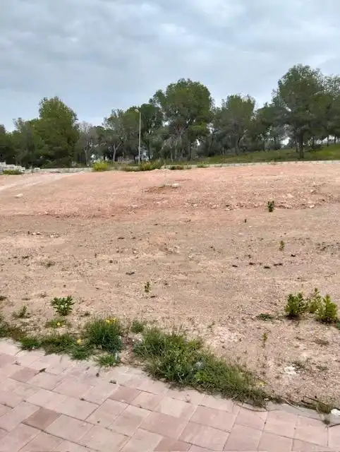 Terreny residencial en venda a Avenida de la Alberca, imagen 2