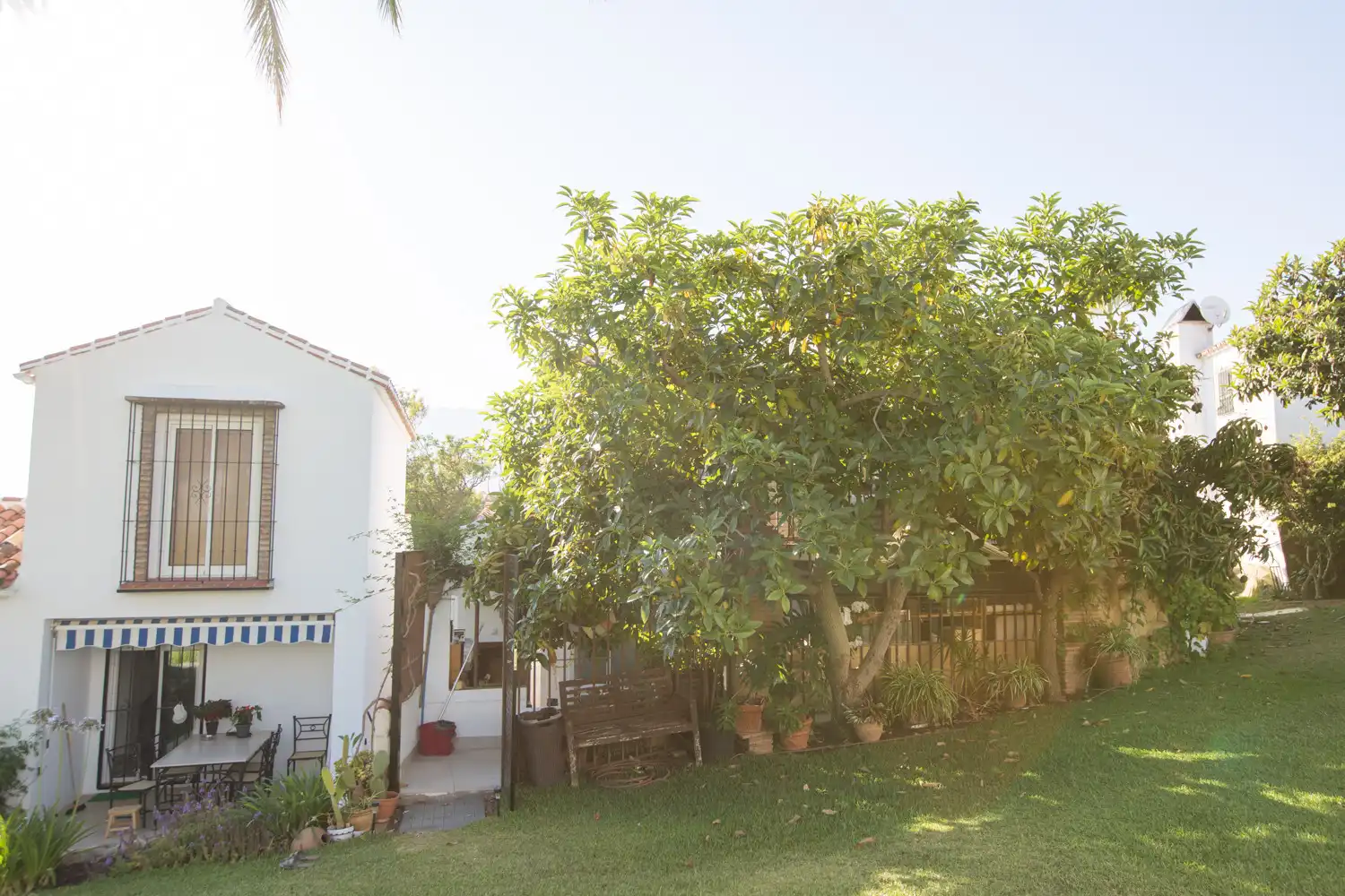 Ground floor for rent in Bello Horizonte - Lindasol
