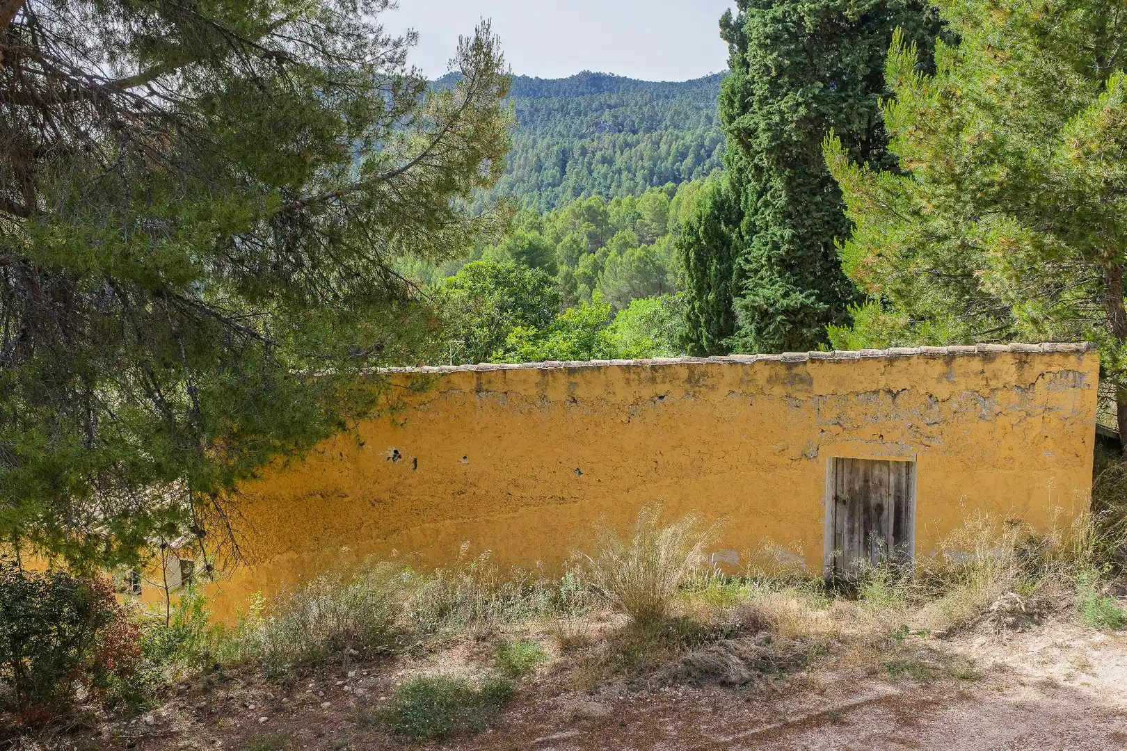 Vista exterior de Finca rústica en venta en Moratalla con Piscina