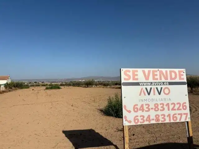 Lands and plots for sale in Pedanías Centro