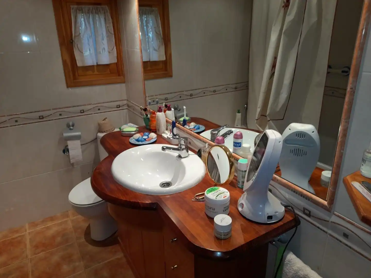 Bany de Casa o xalet en venda en Flix amb Jardí privat, Terrassa i Traster