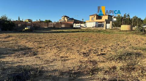 Photo 3 of Land for sale in Cuatro Pinos - El Carmen, Cádiz