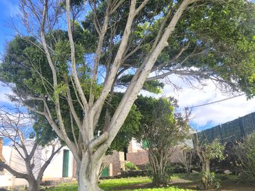 Xalet amb jardí en venda a Calle Antoñita Melian 8