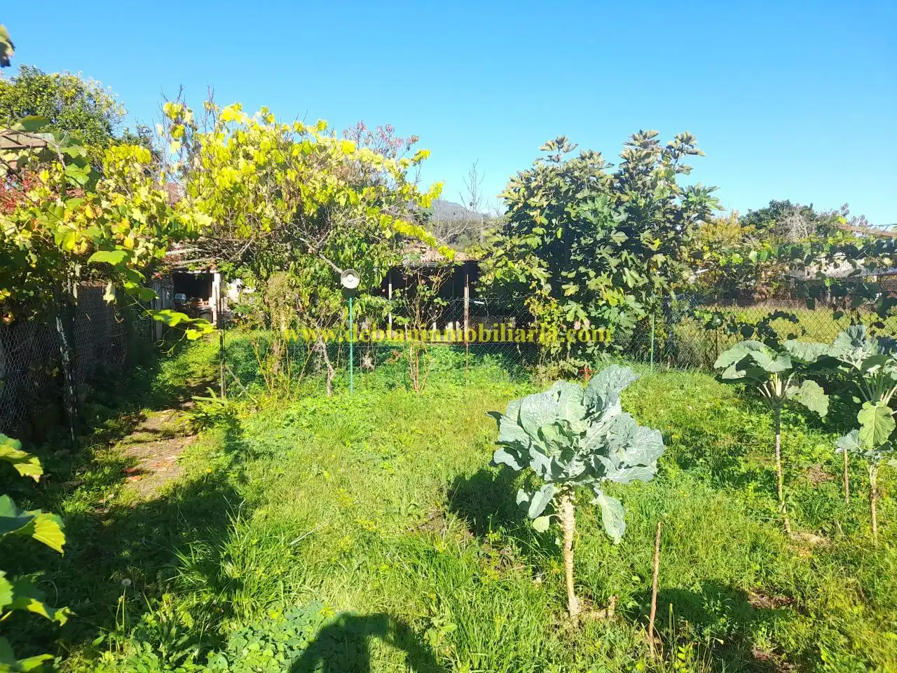 Casa con jardín en venta en Tui, imagen 16