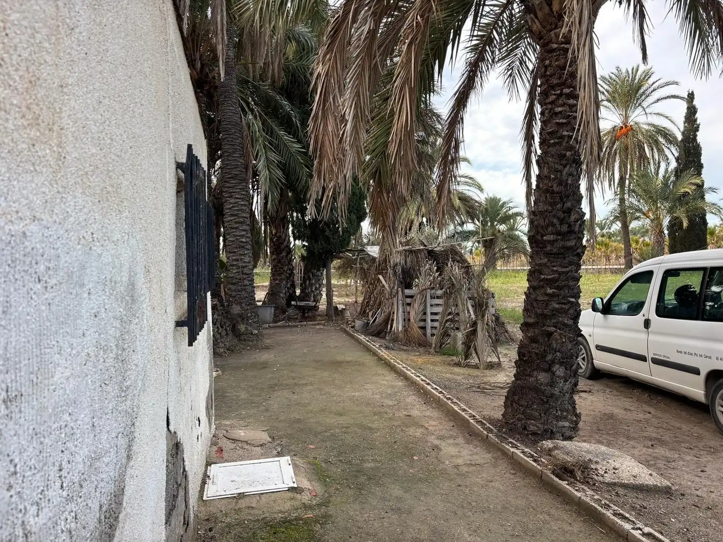 Vista exterior de Finca rústica en venda en Elche / Elx