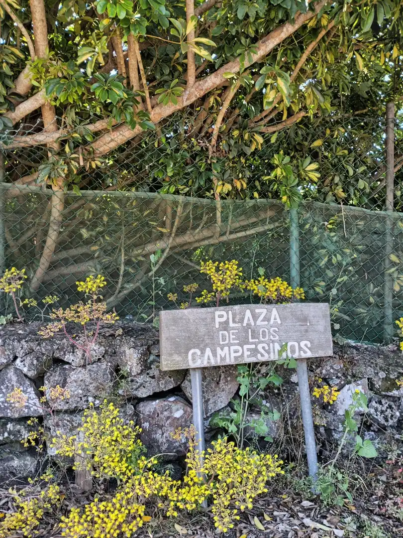 Parking de Finca rústica en venta en Garachico
