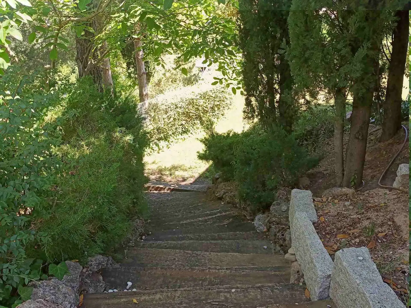 Jardín de Casa o chalet en venta en La Puebla de Castro con Aire acondicionado, Calefacción y Jardín privado