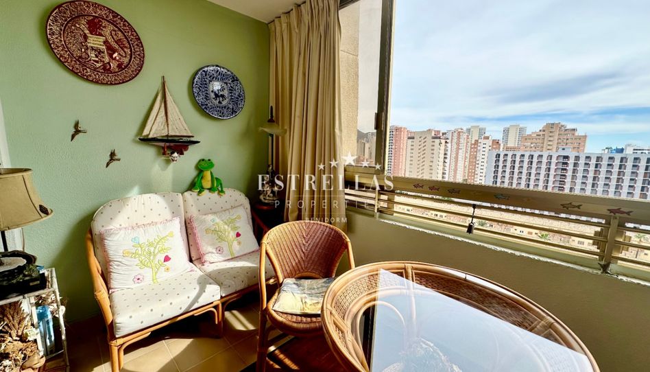 Apartamento en venta en Juzgados - Plaza de Toros - 2