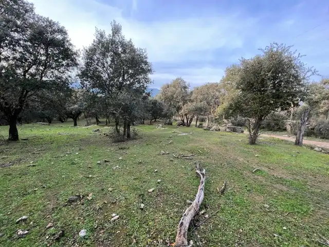 Terreno en venta en Almendral de la Cañada, Toledo