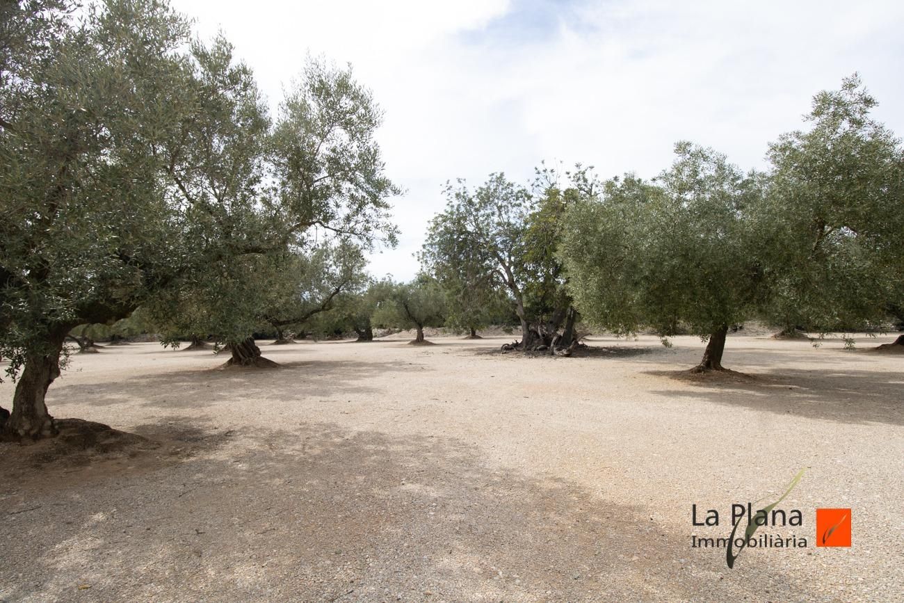 Finca rústica en venda en La Galera 