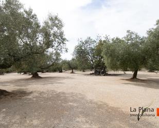 Finca rústica en venda en La Galera 