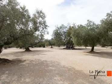 Casa rústica en venta en La Galera