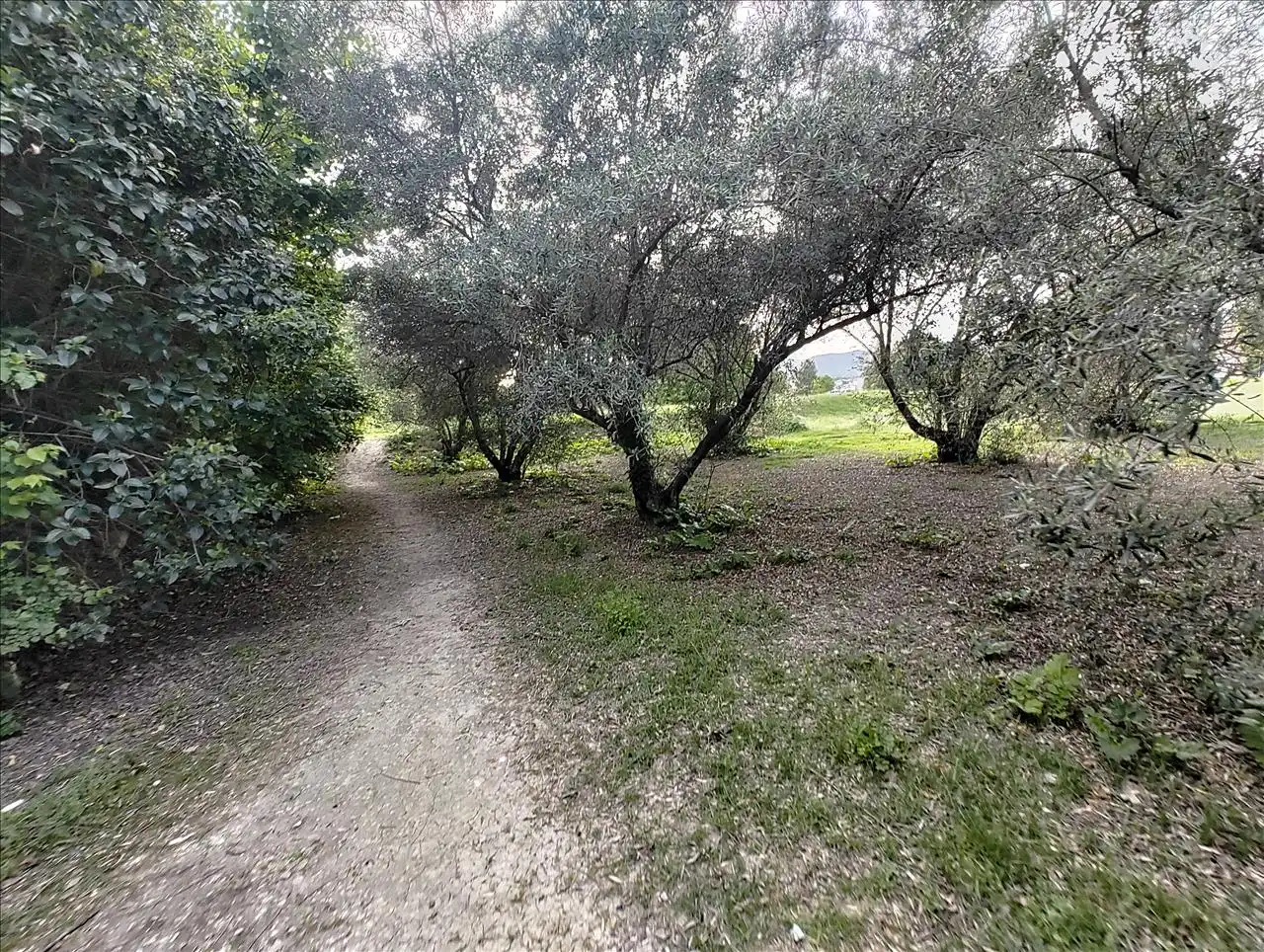 Residencial en venta en Ontinyent