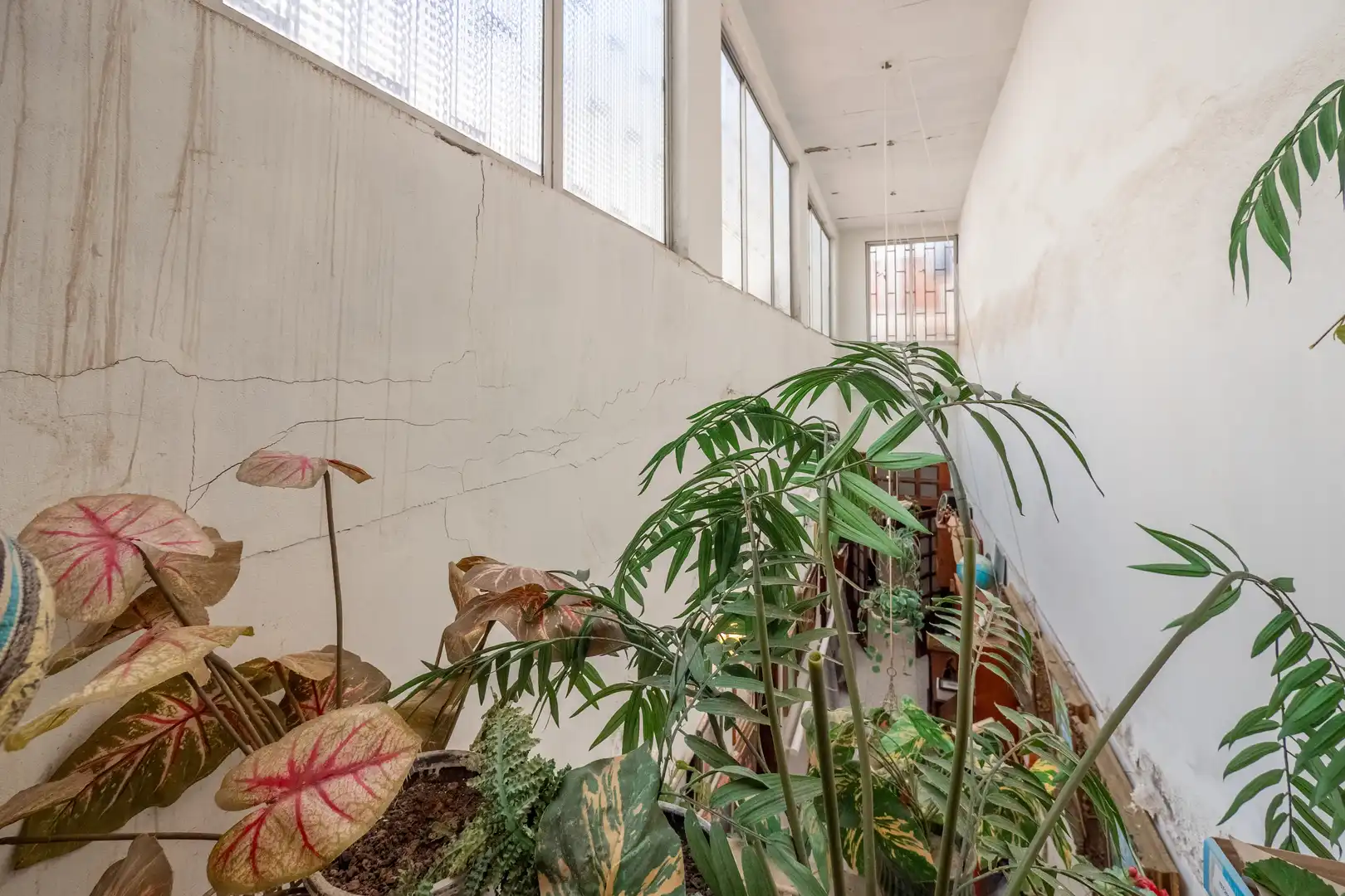 Haus oder Chalet zum Verkauf in Las Palmas de Gran Canaria mit Terrasse