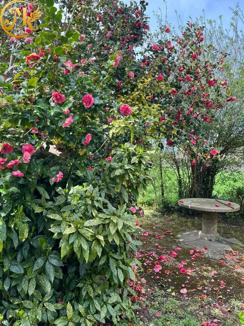 Maison avec terrasse à vendre à TRECEÑO-MOLINA, imagen 20