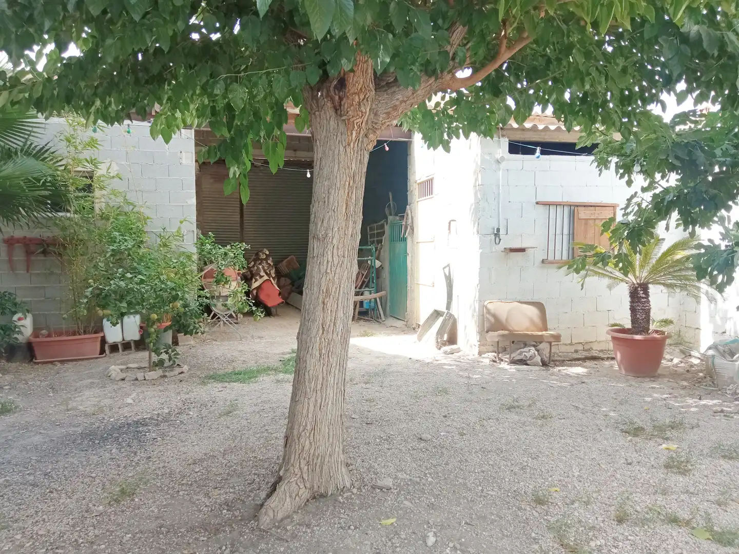 Mixto residencial en venta en Calle Luis Vives M 6, imagen 11