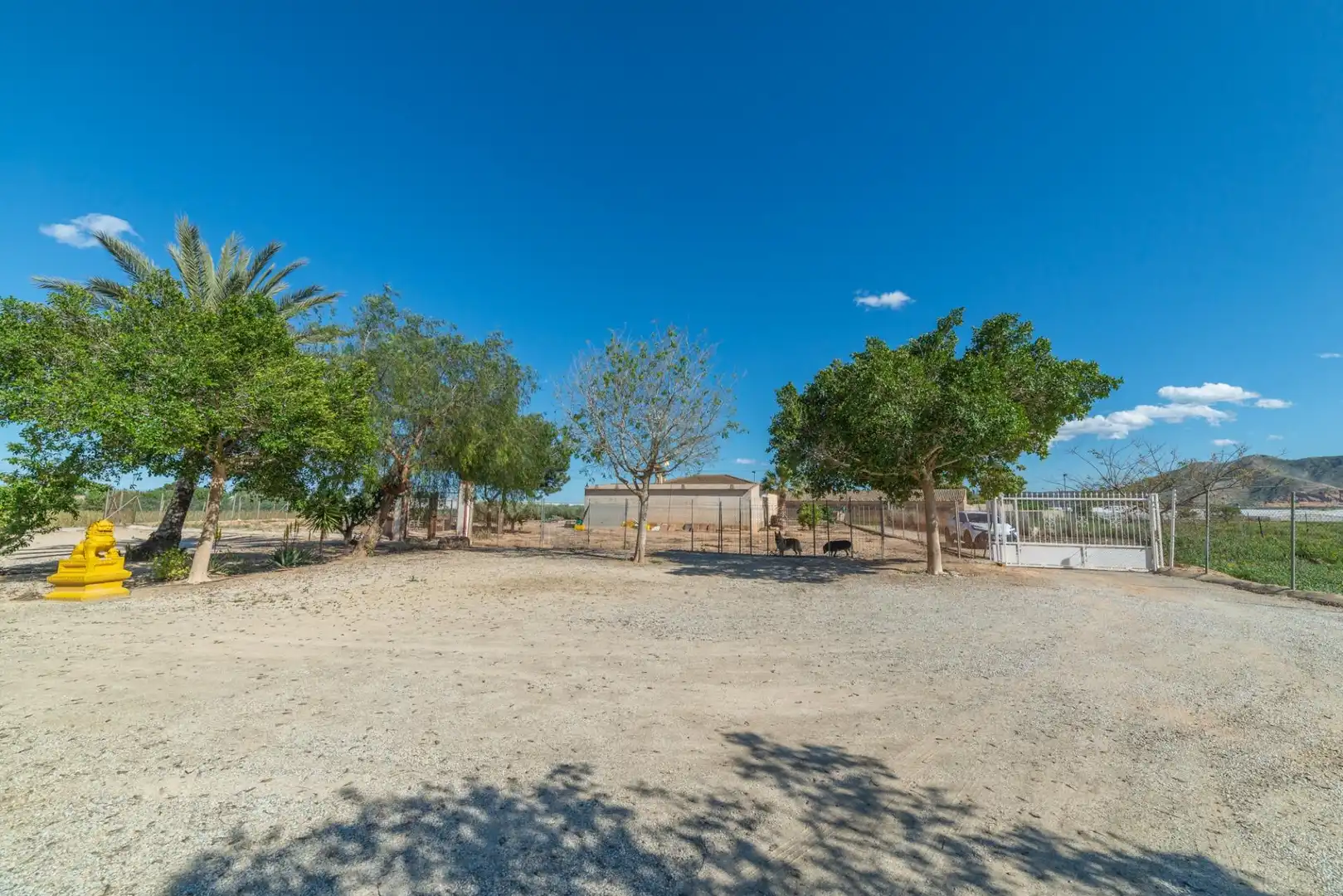Finca rústica en venda a Balsicas