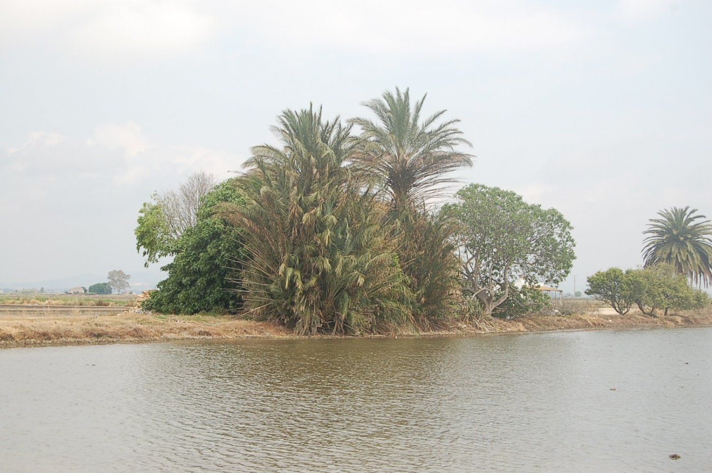 Country house for sale in Amposta