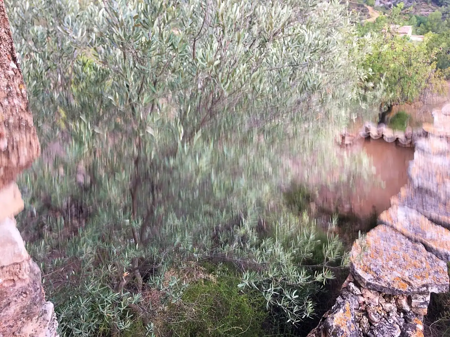 Jardí de Finca rústica en venda en Benifallet