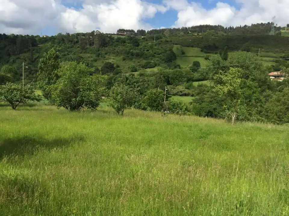 Rustikales Grundstück zum Verkauf in San Claudio - Trubia - Las Caldas, imagen 9