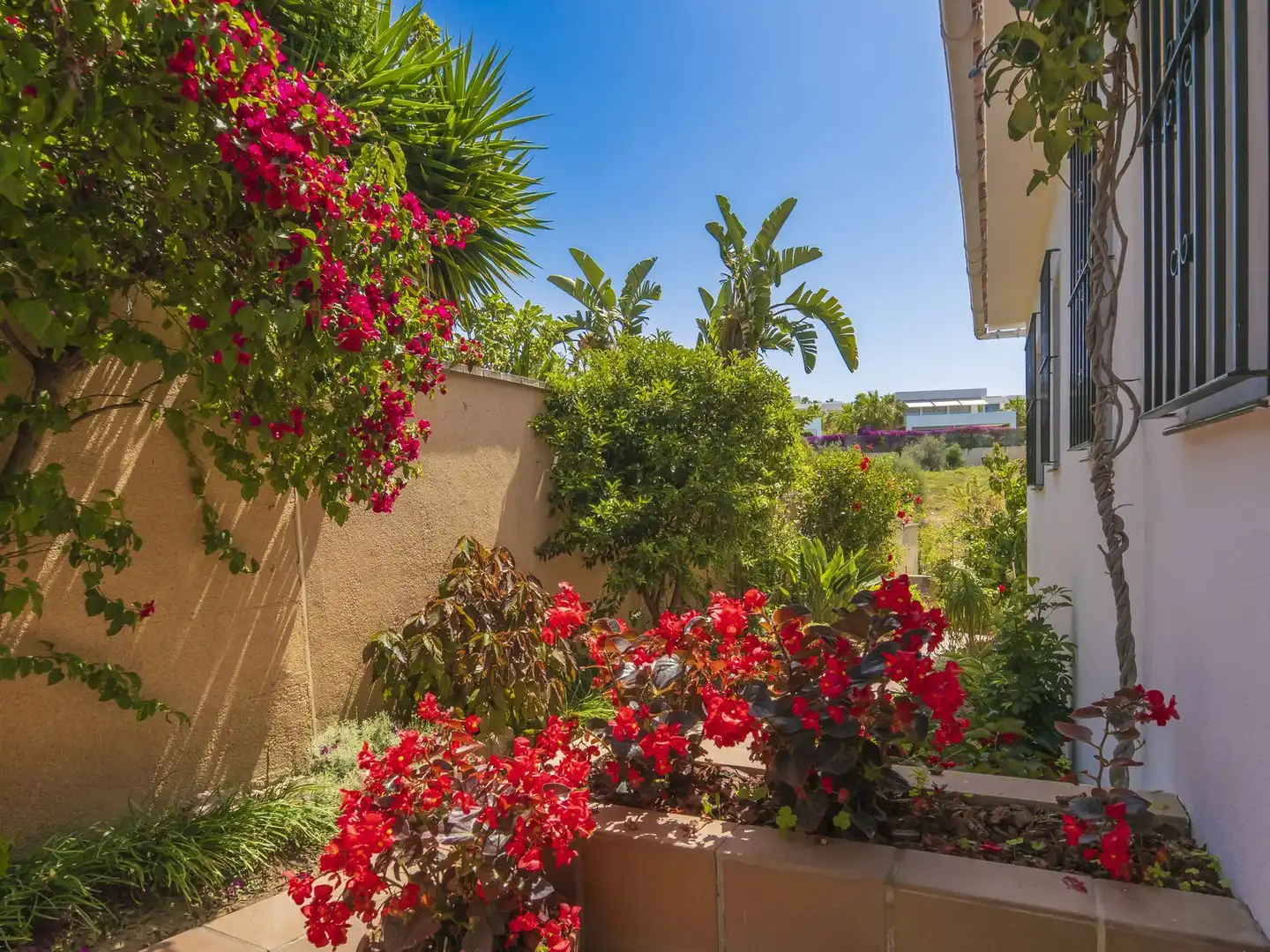 Chalet en venta en Carretera Nacional N-340, imagen 3