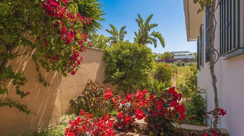 Photo 3 of House or chalet for sale in Carretera Nacional N-340, Casco Antiguo, Marbella