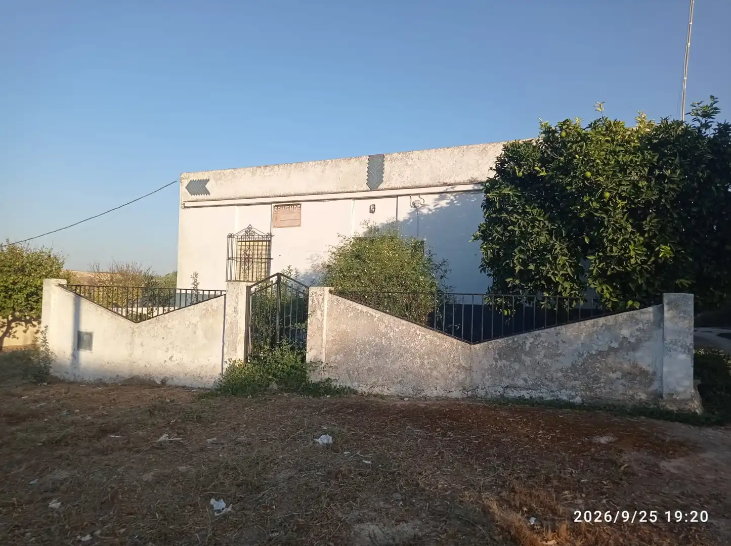 Terreno rústico en venta en El Rocío - La Milagrosa, imagen 3