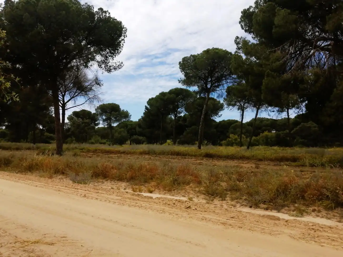 Terreno en venta en Villamanrique de la Condesa