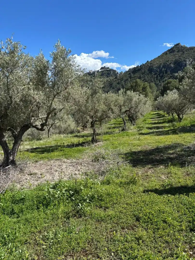 Grundstücke zum Verkauf in Beniardà